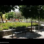 Golondrina