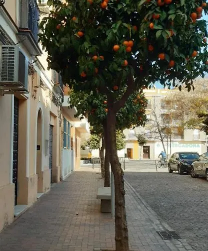 Golondrina דירה *