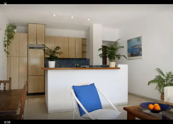 Golondrina * Córdoba